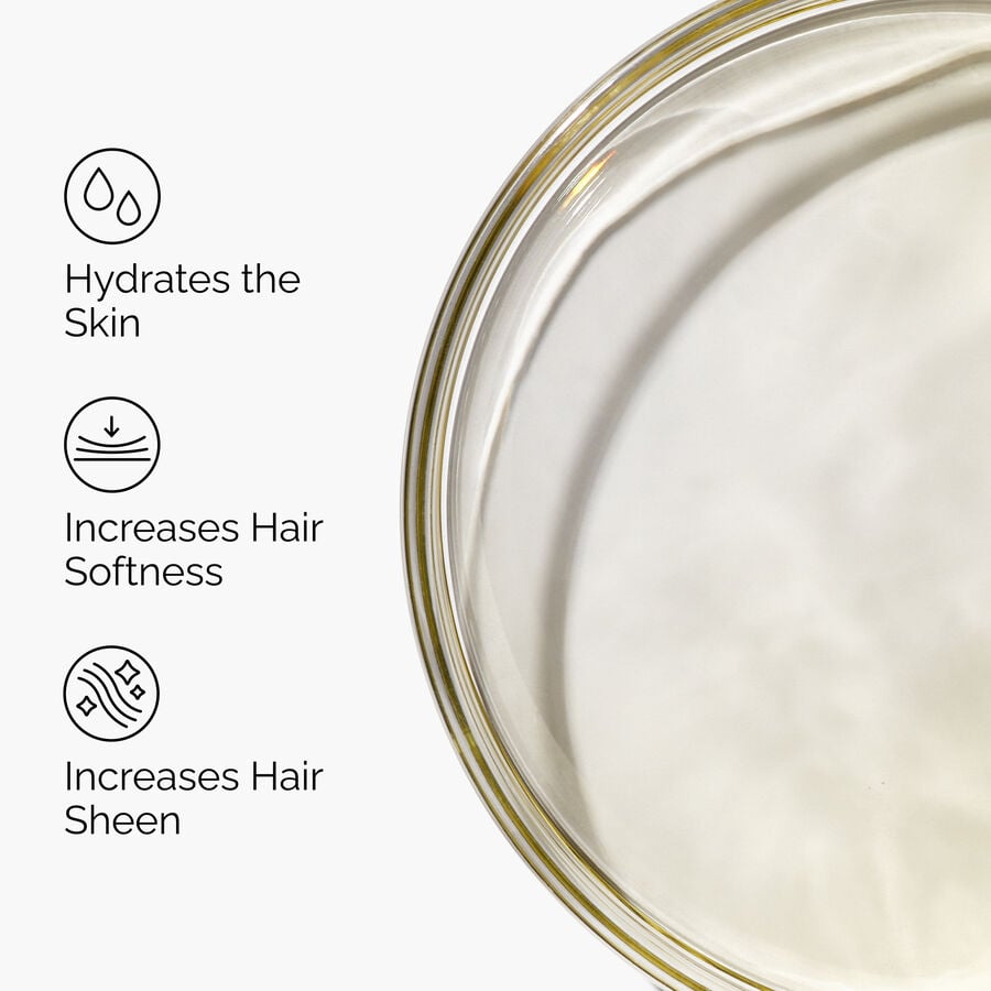 100-organic-cold-pressed-moroccan-argan-oil-s1 FY25-D41247-ORD-Web-PDP-100-Argan-Oil-1x1-EN-3.jpg